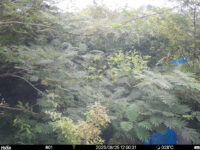 Aug 25 2025 12:00:31, #01