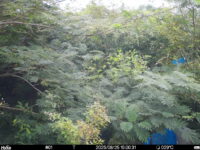 Aug 25 2025 15:00:31, #01