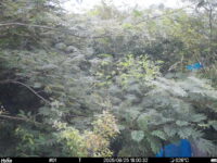 Aug 25 2025 18:00:32, #01
