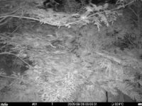 Aug 26 2025  3:00:31, #01
