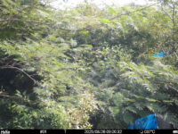 Aug 26 2025  9:00:32, #01