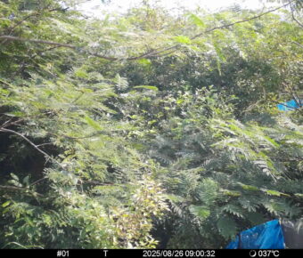 Aug 26 2025  9:00:32, #01
