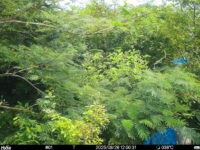 Aug 26 2025 12:00:31, #01
