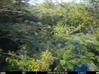 Aug 26 2025 15:00:30, #01