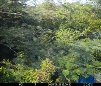 Aug 26 2025 15:00:30, #01