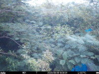 Aug 26 2025 18:00:31, #01