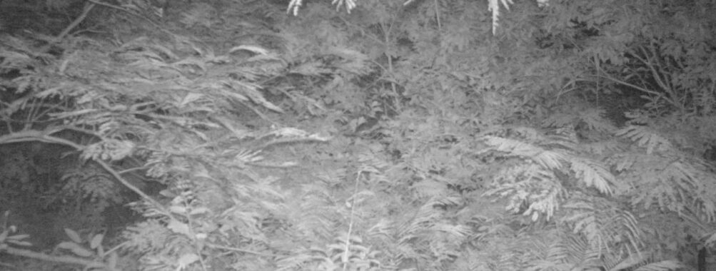 Aug 27 2025  0:00:30, #01