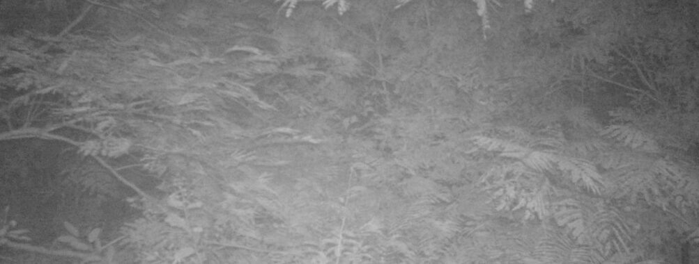 Aug 27 2025  3:00:31, #01