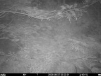 Aug 27 2025  3:00:31, #01