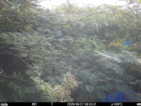 Aug 27 2025  6:00:31, #01