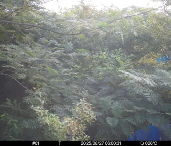 Aug 27 2025  6:00:31, #01