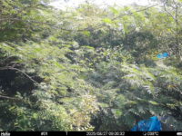 Aug 27 2025  9:00:32, #01