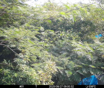 Aug 27 2025  9:00:32, #01