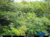 Aug 27 2025 12:00:32, #01
