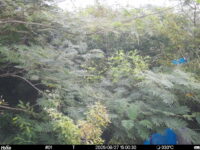 Aug 27 2025 15:00:30, #01