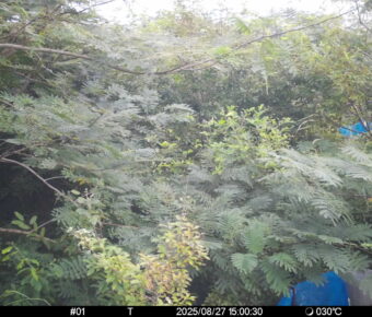 Aug 27 2025 15:00:30, #01