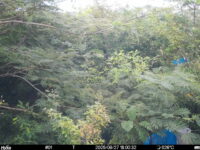 Aug 27 2025 18:00:32, #01