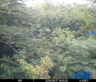 Aug 27 2025 18:00:32, #01