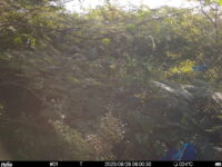 Aug 28 2025  6:00:30, #01