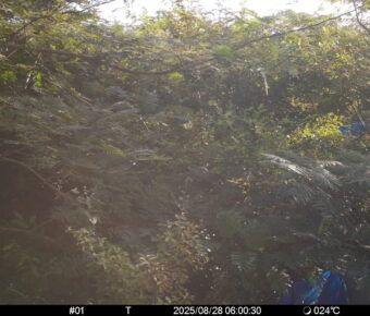 Aug 28 2025  6:00:30, #01