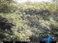 Aug 28 2025  9:00:32, #01