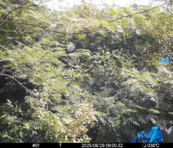 Aug 28 2025  9:00:32, #01