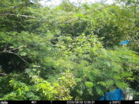 Aug 28 2025 12:00:31, #01