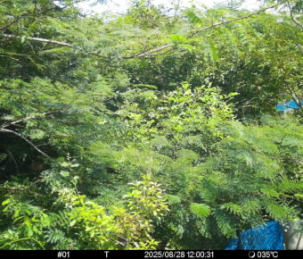 Aug 28 2025 12:00:31, #01