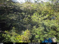 Aug 28 2025 15:00:30, #01