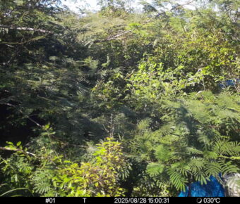Aug 28 2025 15:00:30, #01