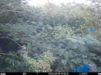Aug 28 2025 18:00:31, #01