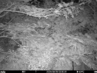 Aug 29 2025  3:00:31, #01