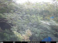 Aug 29 2025  6:00:30, #01