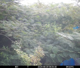 Aug 29 2025  6:00:30, #01