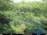 Aug 29 2025  9:00:32, #01