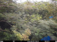 Aug 29 2025 12:00:31, #01