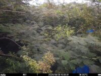 Aug 29 2025 15:00:30, #01