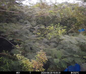 Aug 29 2025 15:00:30, #01