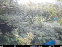 Aug 29 2025 18:00:31, #01
