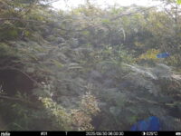 Aug 30 2025  6:00:30, #01