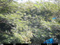 Aug 30 2025  9:00:32, #01