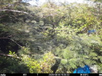 Aug 30 2025 15:00:32, #01