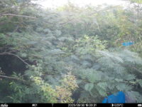 Aug 30 2025 18:00:31, #01