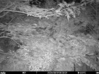Aug 31 2025  0:00:31, #01