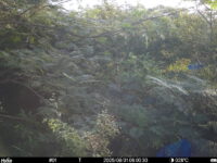 Aug 31 2025  6:00:30, #01