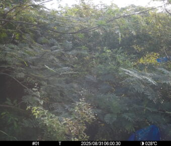 Aug 31 2025  6:00:30, #01