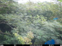 Aug 31 2025  9:00:32, #01
