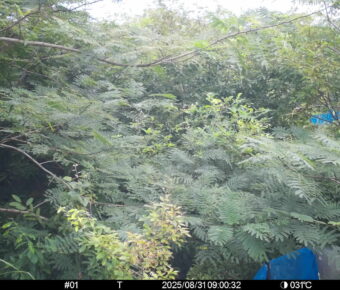 Aug 31 2025  9:00:32, #01