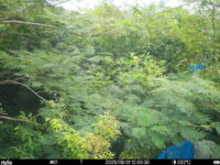 Aug 31 2025 12:00:30, #01