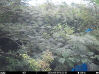 Aug 31 2025 18:00:31, #01
